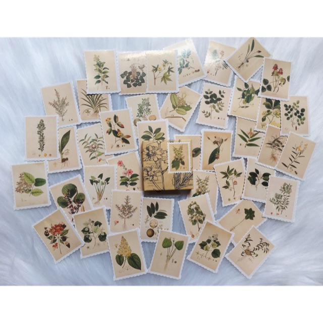 Hộp 40-45 Sticker Hình Lá - Hình Dán Chữ Nhật Hình Tem Lá Trang Trí Sổ Bullet Journal/Bujo