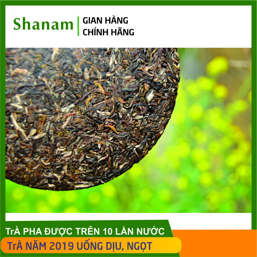Trà phổ nhĩ sống - trà vàng - bánh trà cổ 2,3 lá, năm 2019- -vùng cây trà di sản sùng đô, cao hơn suối giàng yên bái, trà cổ thụ ép bánh, pu er tea, từ cây chè cổ thụ trên 400 năm tuổi, tiêu độc, điều hòa huyết áp.
