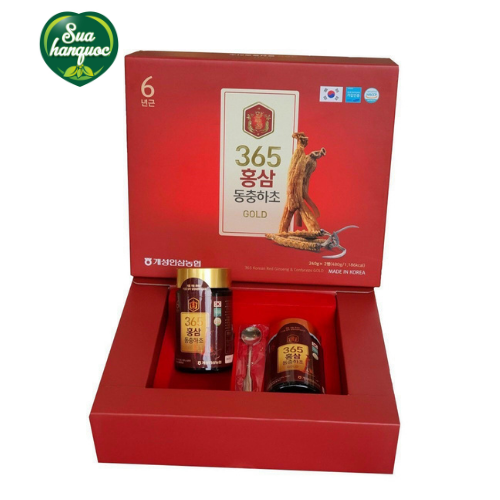 [QUÀ TẶNG] Cao Sâm Đông Trùng Hạ Thảo 365 Hàn Quốc - Hộp 2 Lọ * 240g - Cao Sâm Đông Trùng Hạ Thảo 365