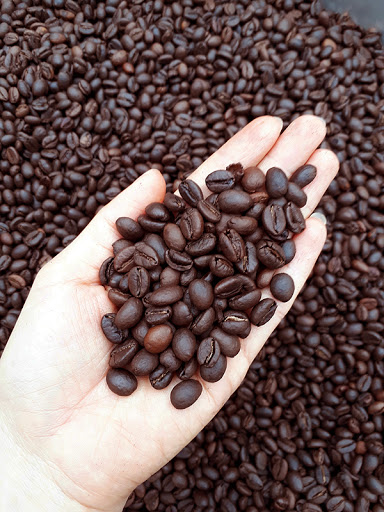 Cà phê ROBUSTA 1Kg nguyên chất 100%, Cà phê sạch, Cà phê không hóa chất, Pha phin, Pha máy, Cà phê hạt, Cà phê bột, Cà phê Đaklak