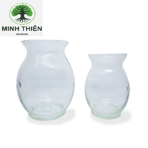 Bình bông lọ hoa thủy tinh dáng bầu dục lớn
