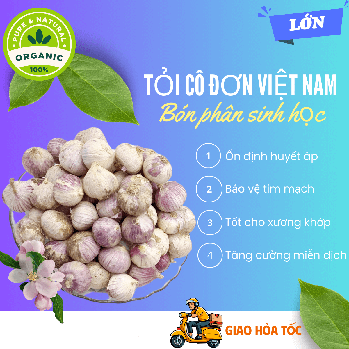 [Organic] [HCM] 100gr Tỏi cô đơn Việt Nam, tỏi mồ côi thơm ngon, tỏi 1 nhánh chắc củ loại LỚN không hóa chất tăng trưởng, tốt cho sức khỏe - thương hiệu VỢ CHỒNG TÔI