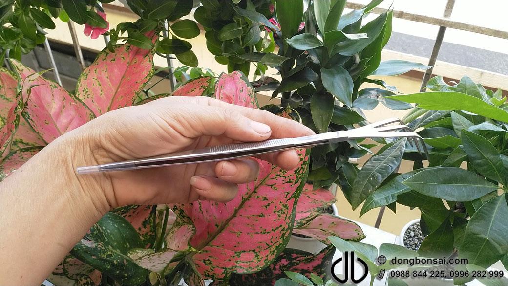 Cào rễ + nhíp ryuga rs-15b