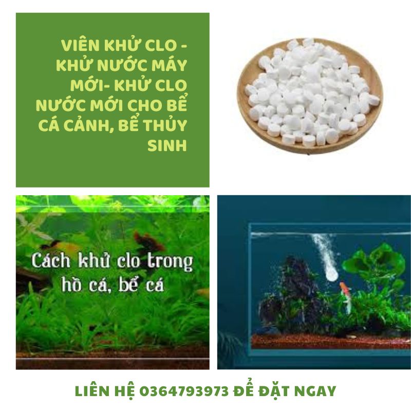 Viên khử trùng đa năng TCCA ngừa khuẩn làm sạch nước mùi hôi dạng viên sủi 2g - gói 10 VIÊN