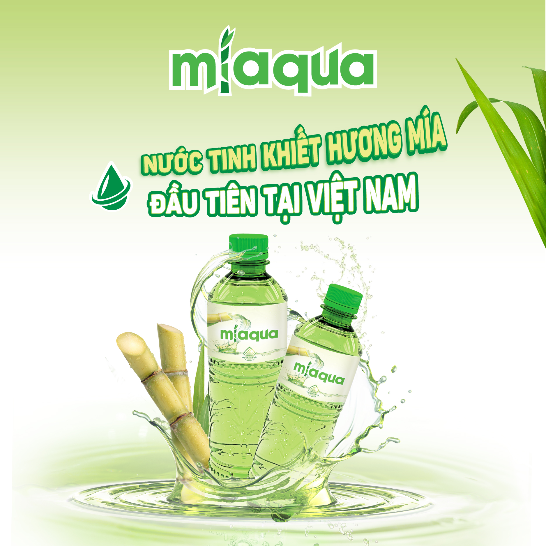 thùng 24 chai nước miaqua-nước tinh khiết tinh lọc từ cây mía 500ml chai 4