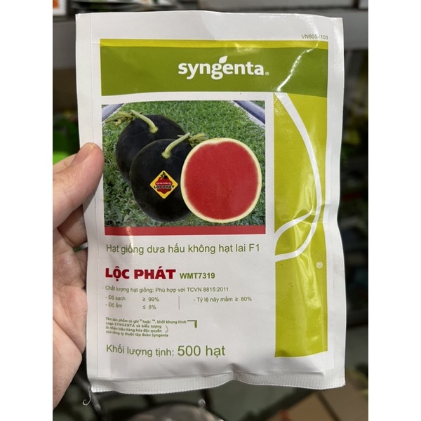 Hạt giống dưa hấu không hạt lai f1 lộc phát- 500 hạt- syngenta