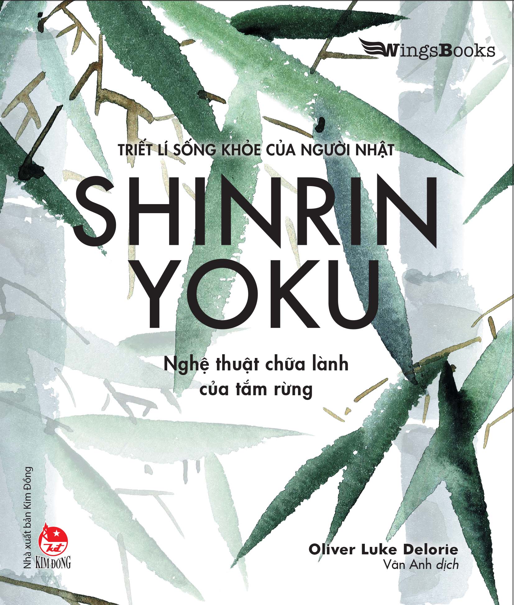 Triết lí sống khoẻ của người nhật - shinrin yoku - nghệ thuật chữa lành của tắm rừng