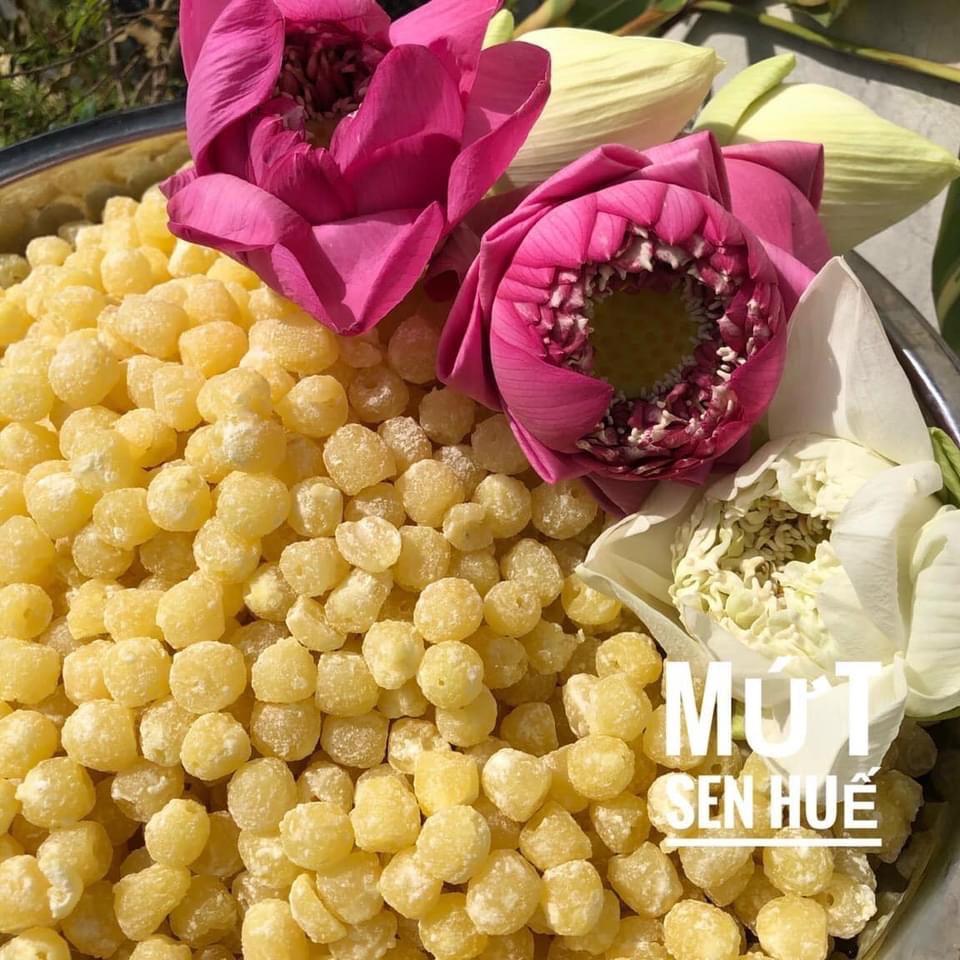 🧧mứt tết 🧧 hạt sen huế loại 1 🧧loại 300gr 🌼món ăn vặt tết 🧧