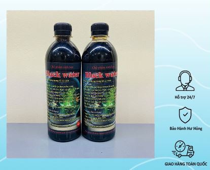 Nước lá bàng - Nước đen Black Water (500ml)