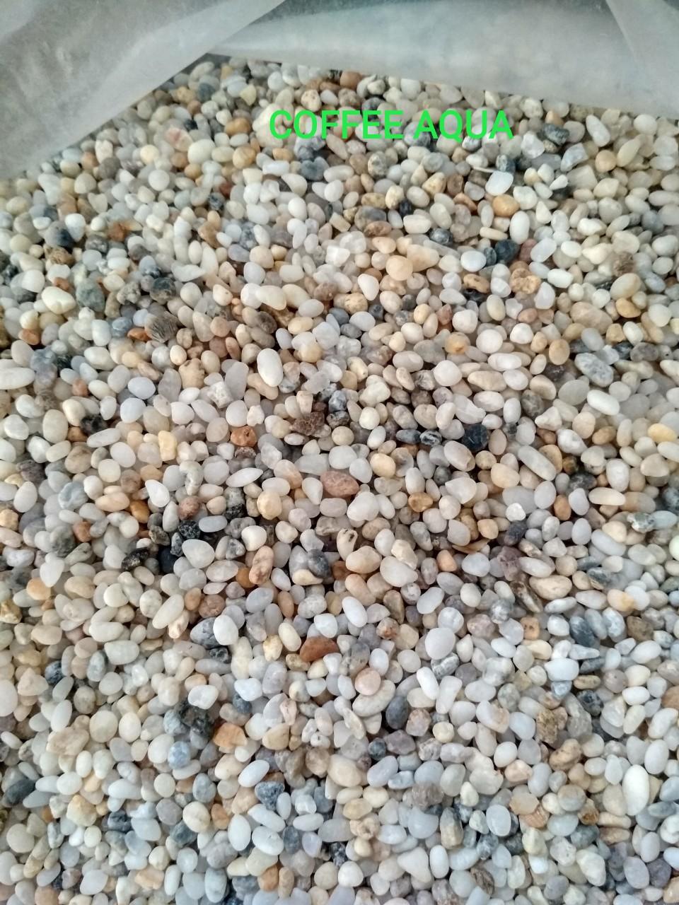 Sỏi biển sỏi 3 màu