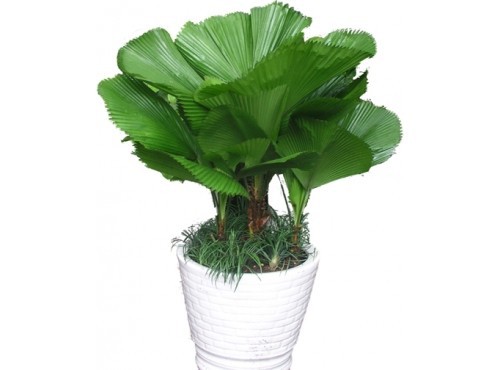 uoBFNYgbcrZFhE4UoHNn_simg_d0daf0_800x1200_max.jpg