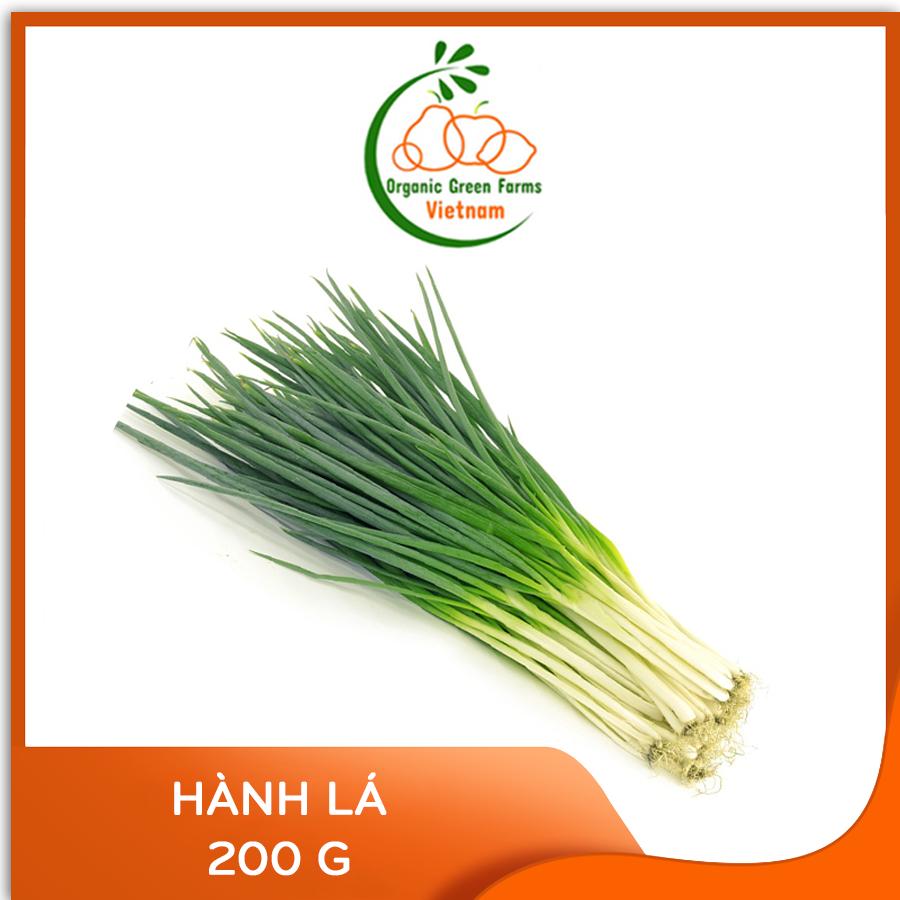 - hành lá - giao nhanh hcm