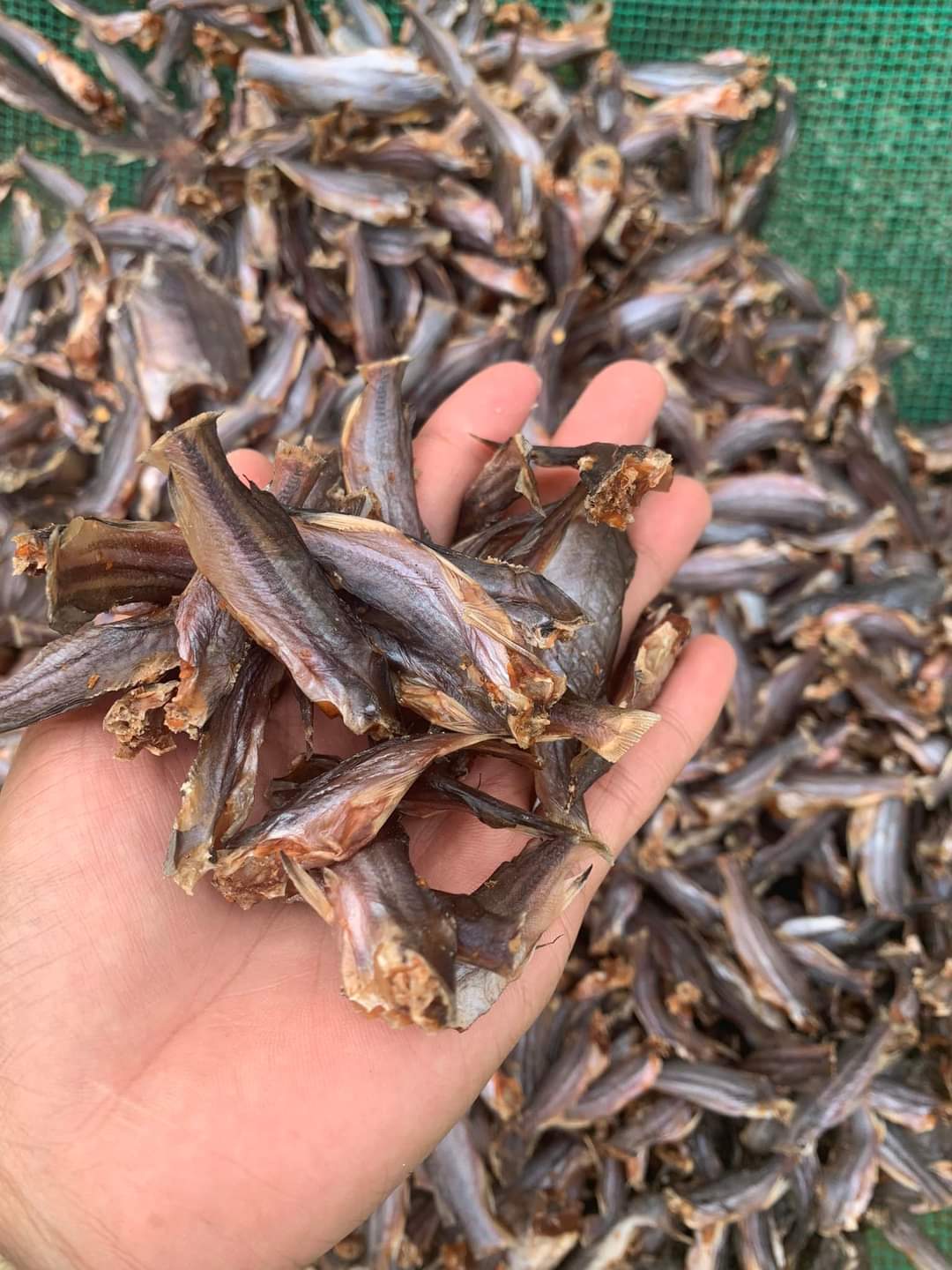 Khô cá chốt đồng hàng khô queo tùi hút chân không , gia vị vừa ăn không mặn,khô thoại sơn