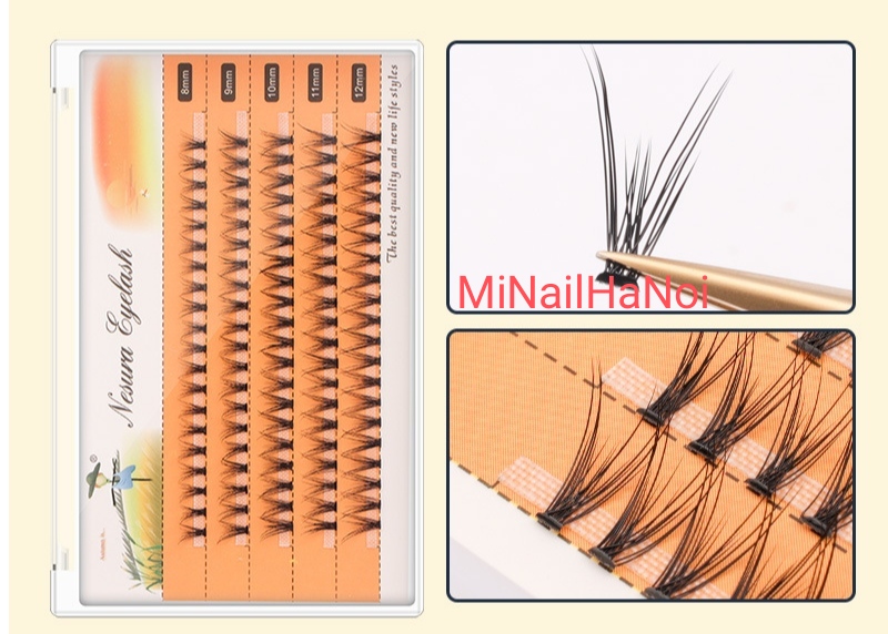 [Tặng keo dán mi] Mi chùm Nesura mix size từ 8-12mm