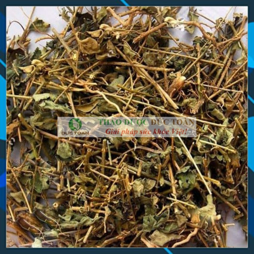 Cà gai leo khô túi 1kg
