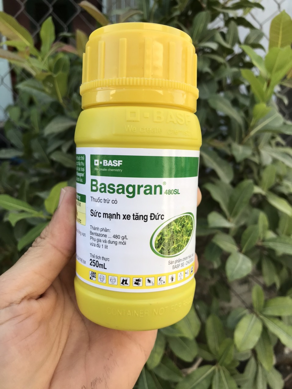 Đặc trừ cỏ cháo chác cỏ lá rộng Basagran 480SL