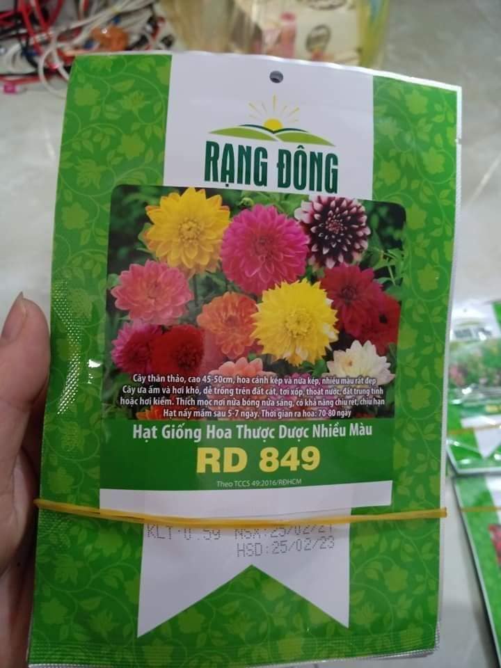 Set 02 gói hhạt giống hoa cúc thược dược nhiều màu rado 849 gói 0,1gr