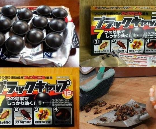 Thuốc diệt dán nhật hiệu quả