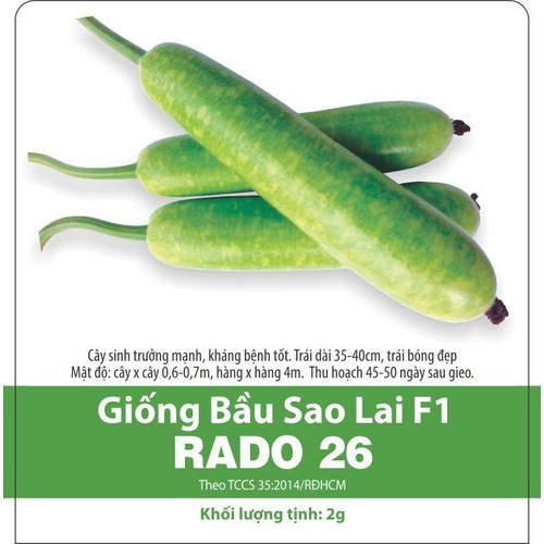 Hạt giống bầu sao lai - giống bầu sao lai f1