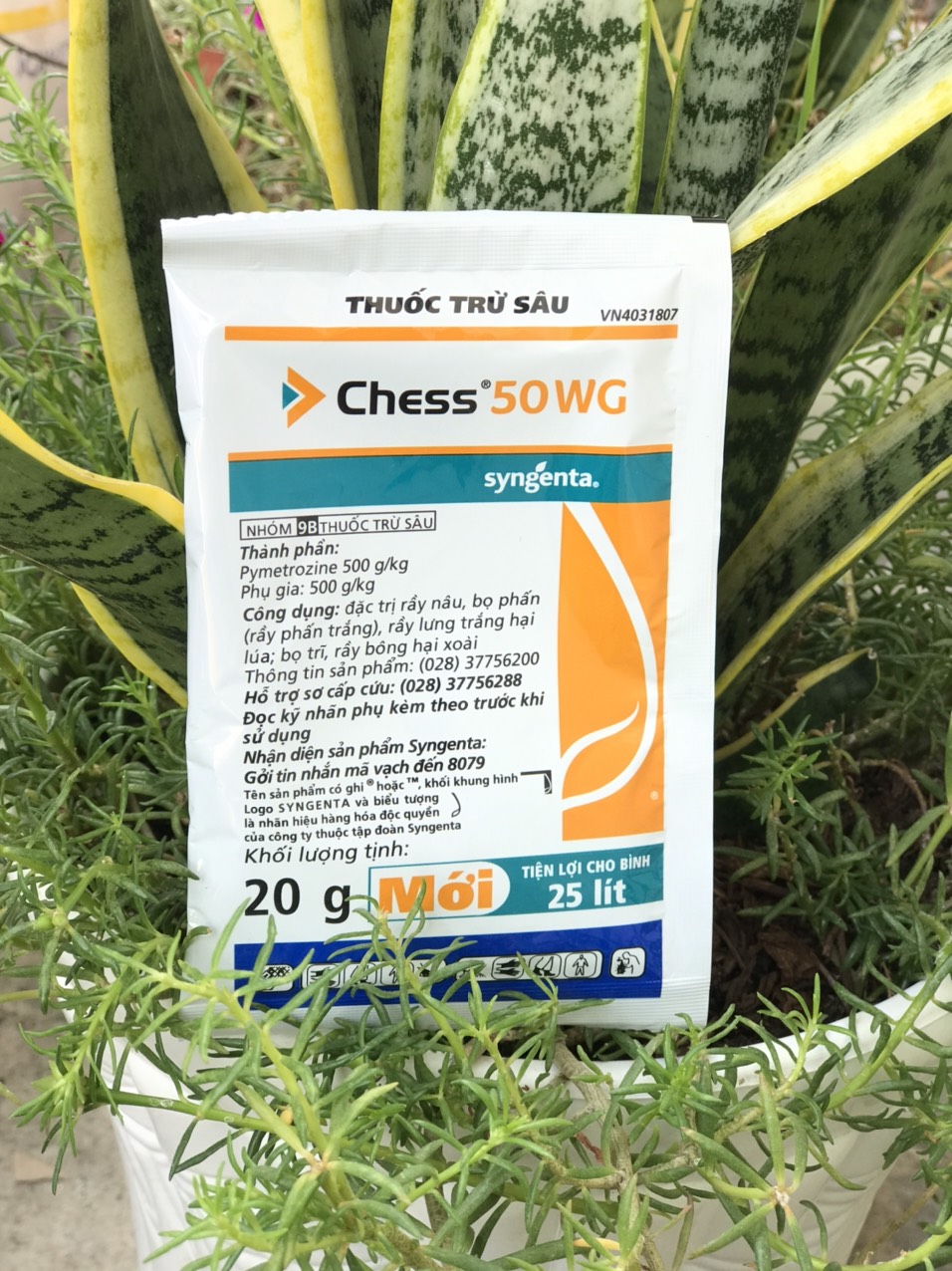 Chess 50WG đặc trừ rầy nâu bọ phấn trắng, bọ trĩ rầy lưng trắng