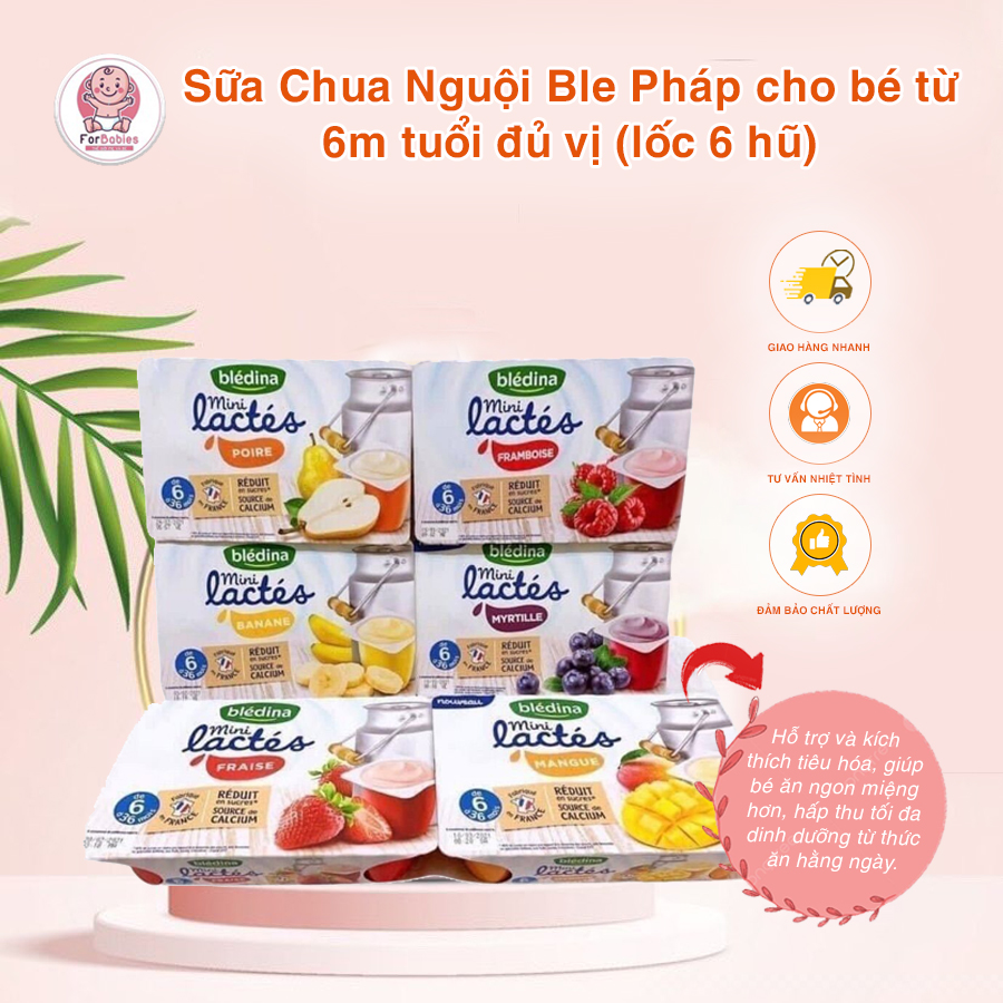 Sữa chua nguội Blédina lốc 6 hộp