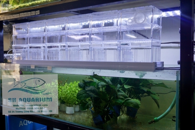 [HOÀN TIỀN 10%]HỆ THỐNG LỌC DÀN MƯA 3 TẦNG 90CM