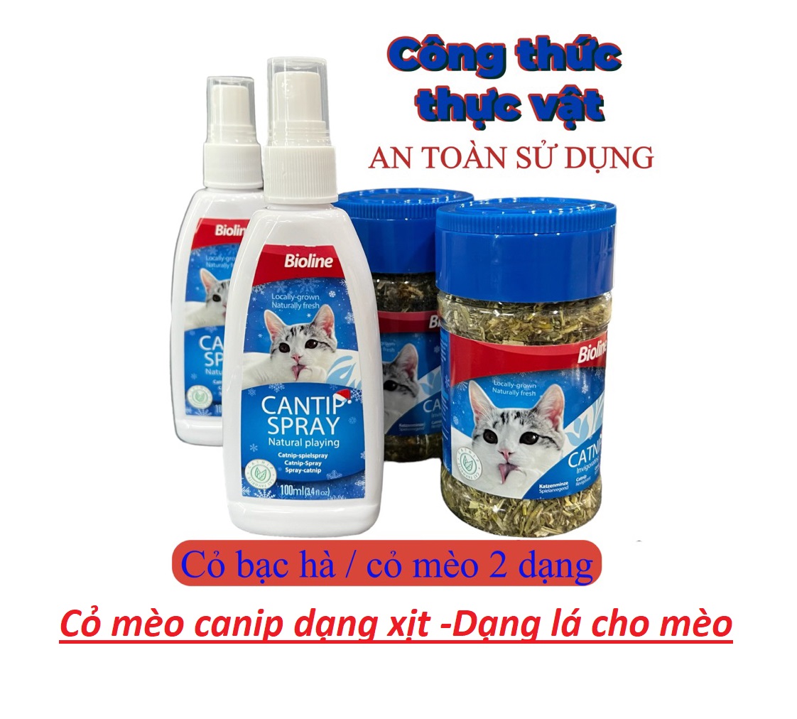 Cỏ mèo canip dạng xịt/ Dạng lá Bioline cho mèo