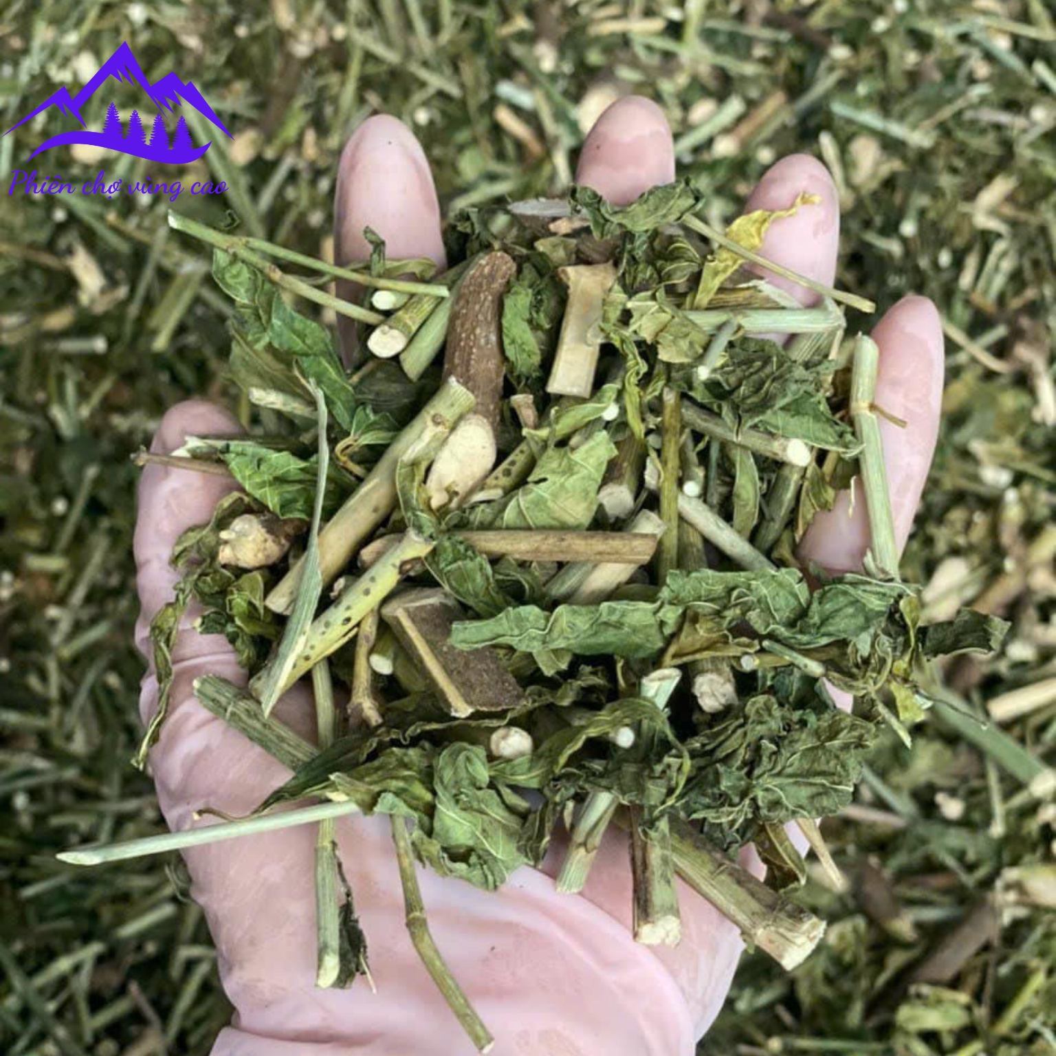 Cây bìm bịp khô loại 1 thu hái rừng, phơi khô tự nhiên từ cây bìm bịp, xương khỉ tươi