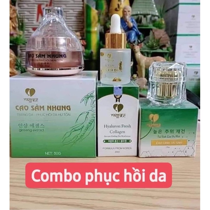 Combo phục hồi da, da nổi chỉ máu Phương Anh