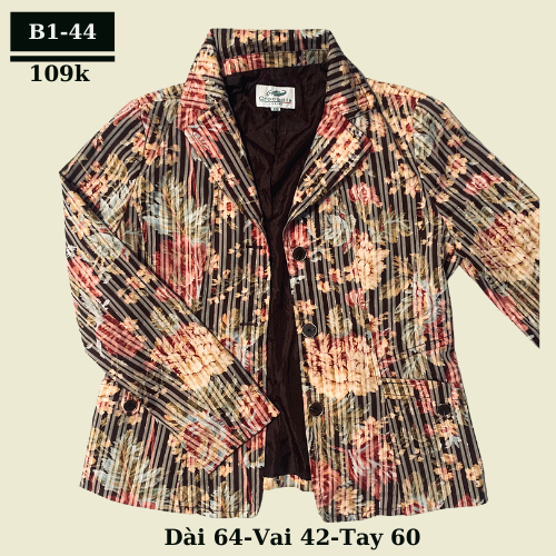 Áo blazer si tuyển Nhật Hàn-Blazer secondhand-Vest Blazer 2hand