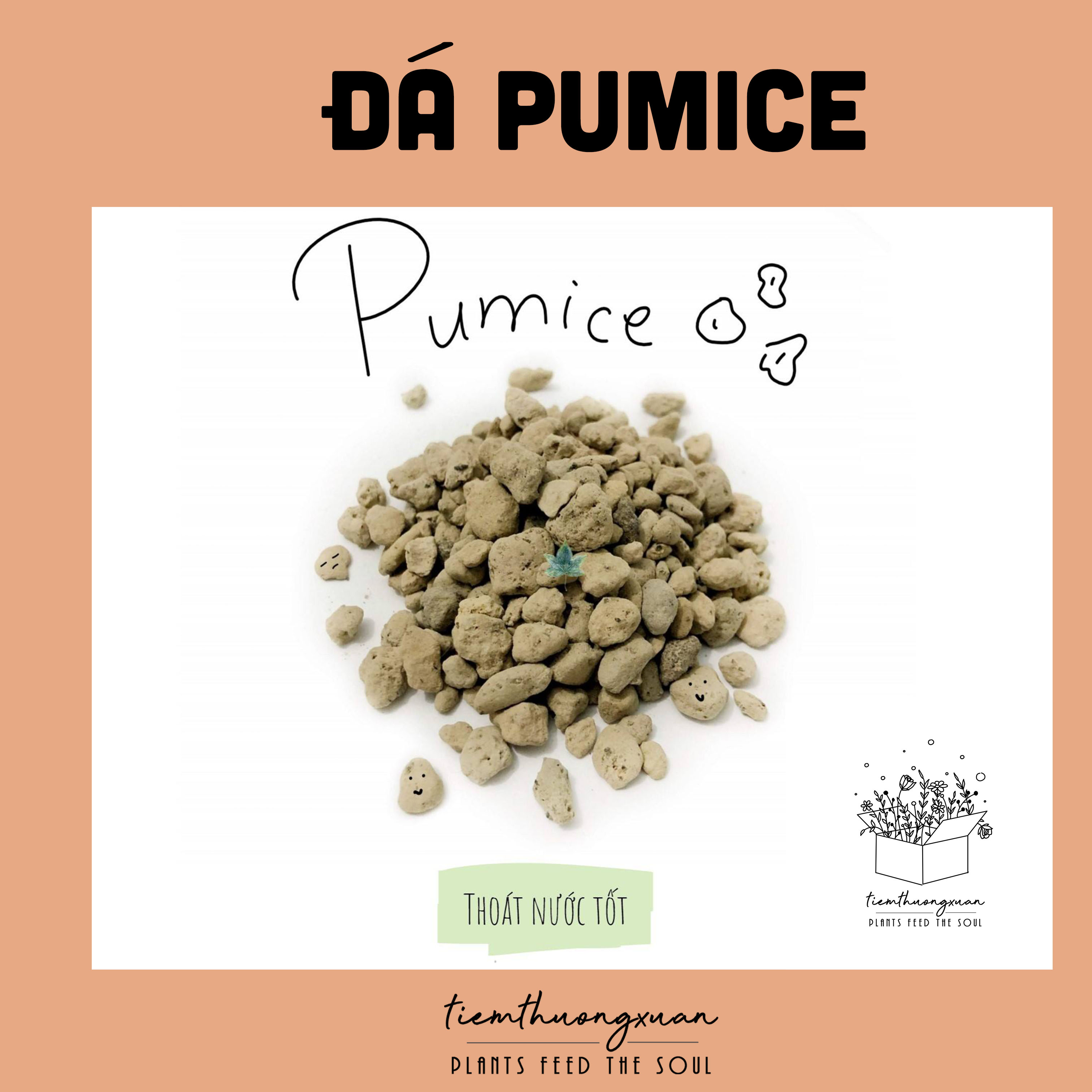 Đá Pumice - Trộn đất trồng cây sen đá, lan, cây cảnh, hoa lan, cây bonsai mini - 200 gram - Đá bọt - Tiệm thường xuân