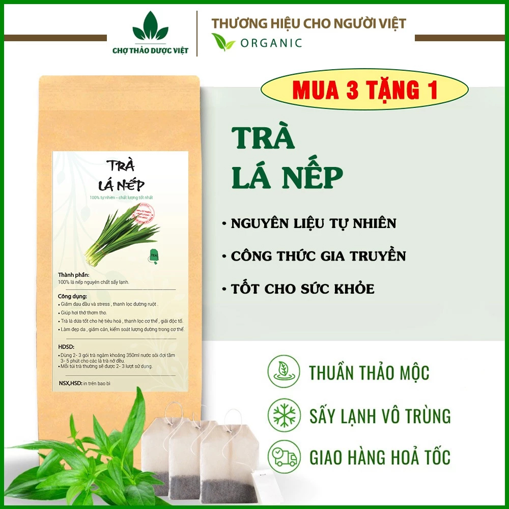  Trà lá nếp túi lọc bịch 30 túi x 3g trà lá dứa đậm vị trà thơm ngon dễ uống - Chợ Thảo Dược Việt 