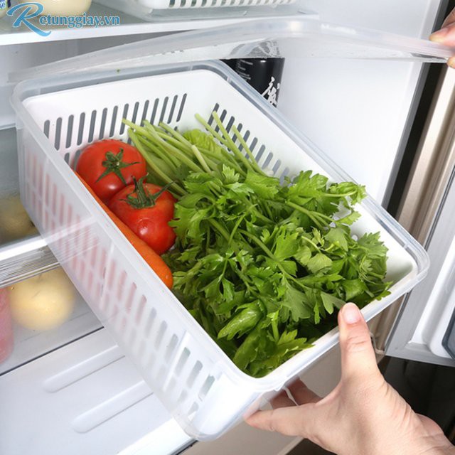 Combo 2 hộp nhựa đựng thực phẩm có rổ ráo nước Prota, dung tích 2L, nhựa PP an toàn cho sức khỏe