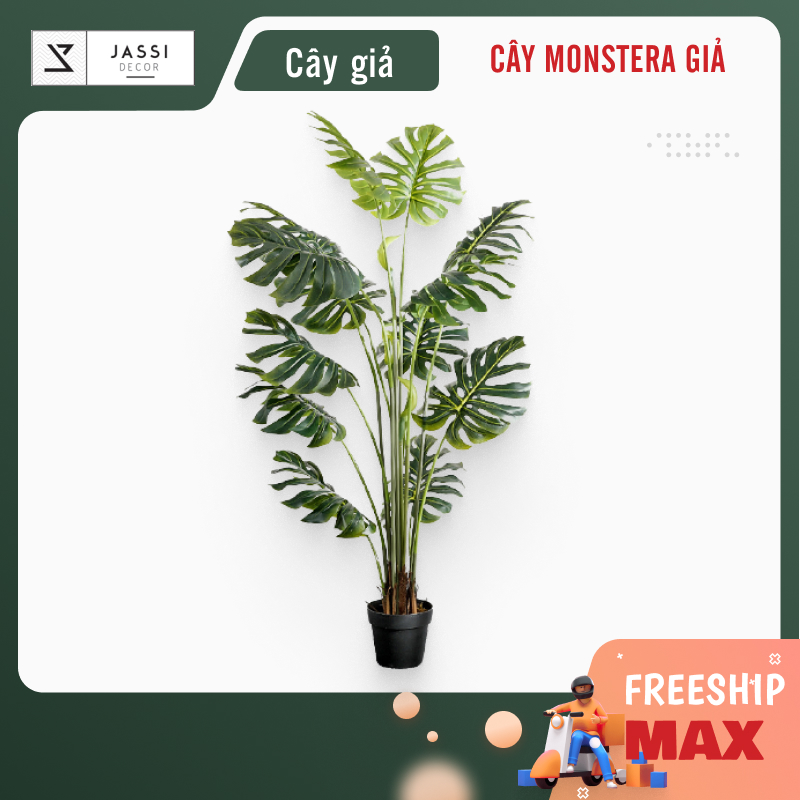 Cây giả trang trí trong nhà, cây Monstera, cây trầu bà lá xẻ giả bằng nhựa thiết kế giống thật 1m6 - CC34 - Jassi Decor