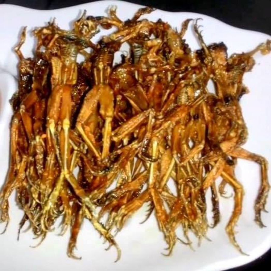 Khô nhái loại con nhỏ bịt 500gram còn gọi là vũ nữ chân dài - wjzh