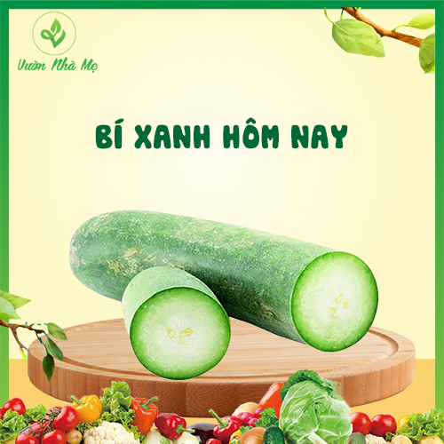 [Giao nội thành Hà Nội] Bí xanh Vườn Nhà Mẹ - 1kg bí xanh giòn ngon, giàu dinh dưỡng - Rau củ quả tươi, sạch, chuẩn VietGap