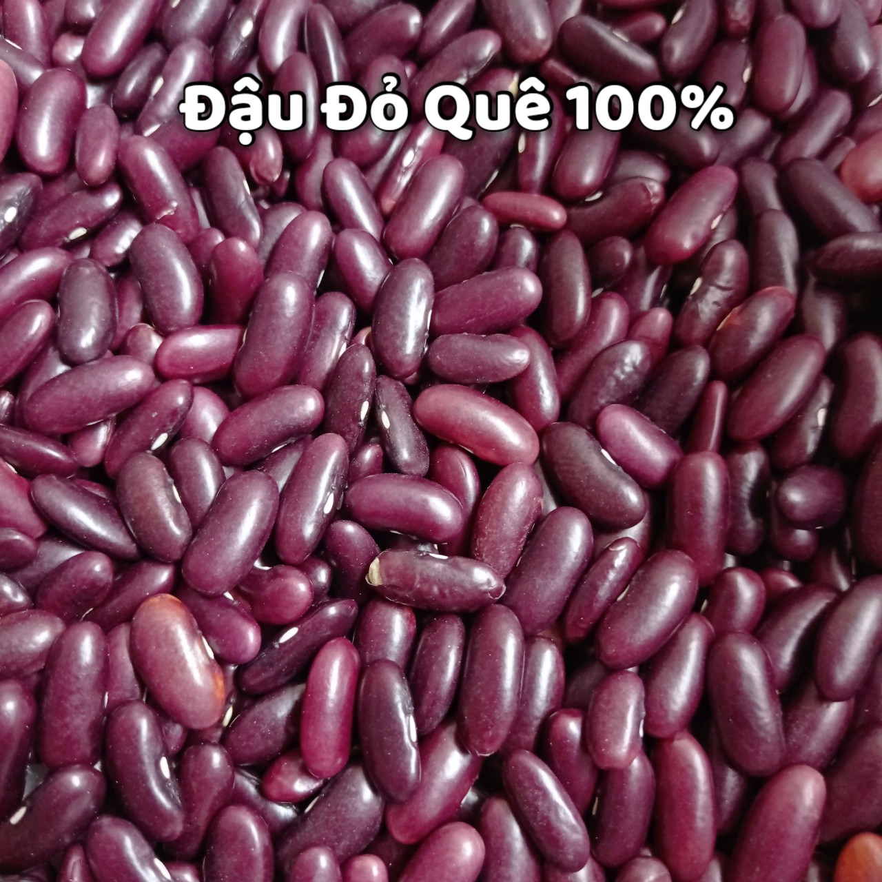 Đỗ đỏ hạt to thơm ngon bở hút chân không gói 200g-500g
