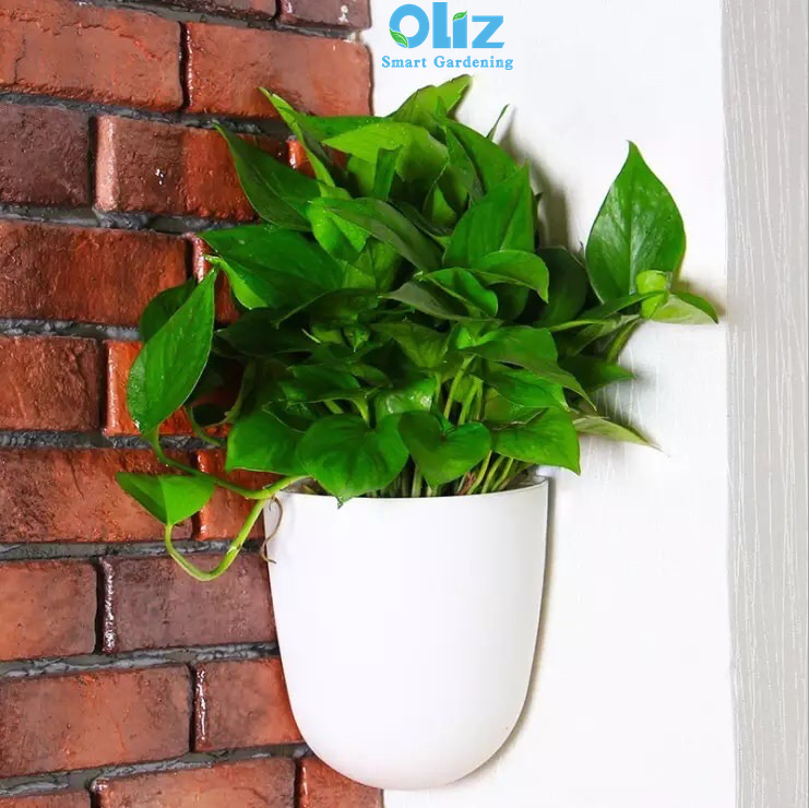 Chậu cây treo tường Oliz K07 - Chậu trồng cây tự tưới nước treo tường góc vuông 90 độ MÀU TRẮNG