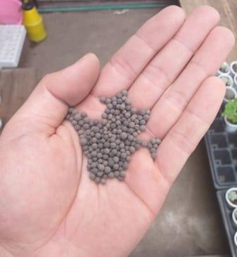 Phân nền bể cá - gói 0,5kg