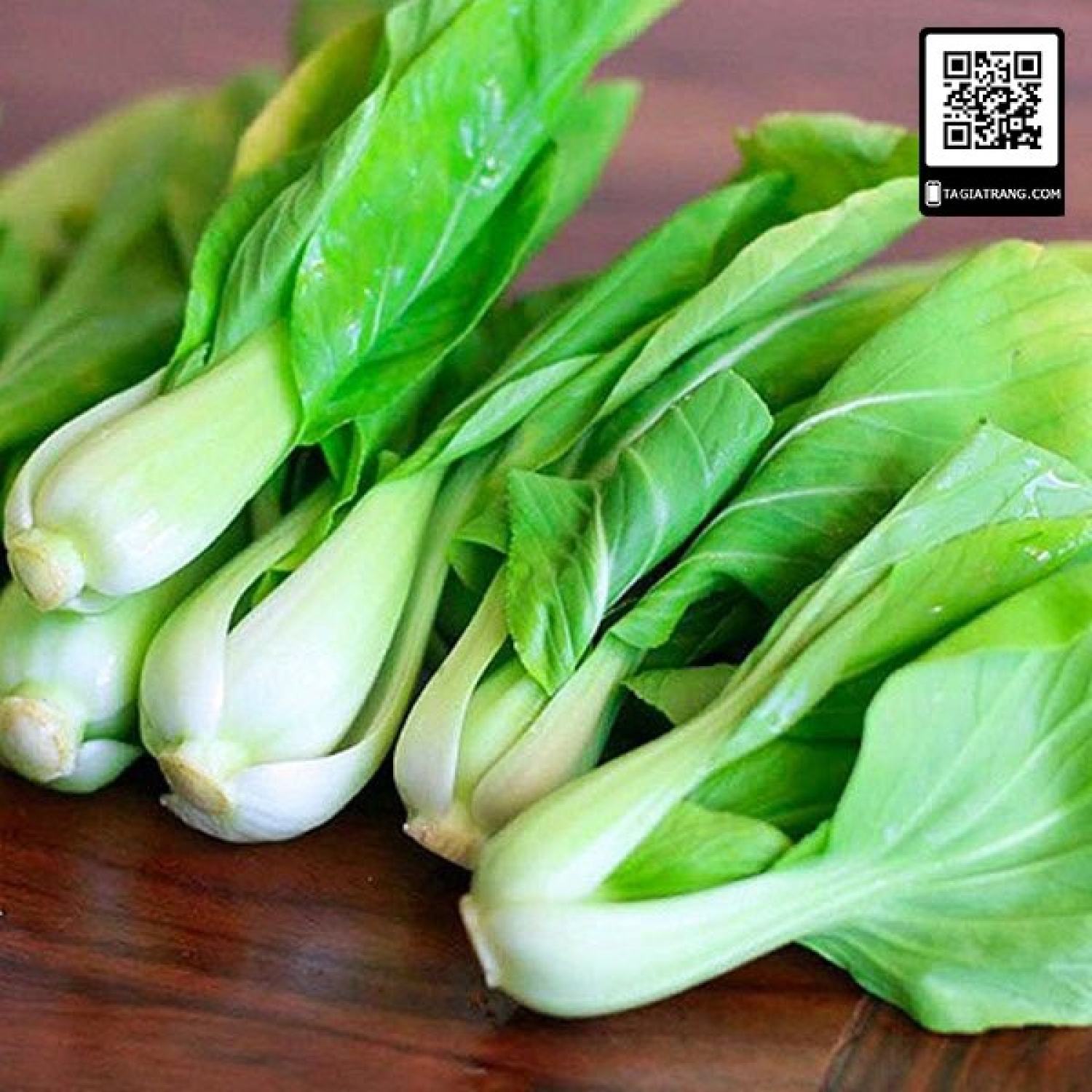 Ma29a gói 100 hạt giống cải thìa trắng