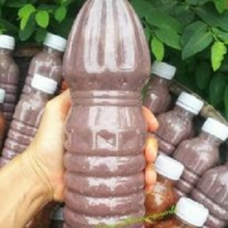 Đặc sản mắm tôm ba làng 1 lít