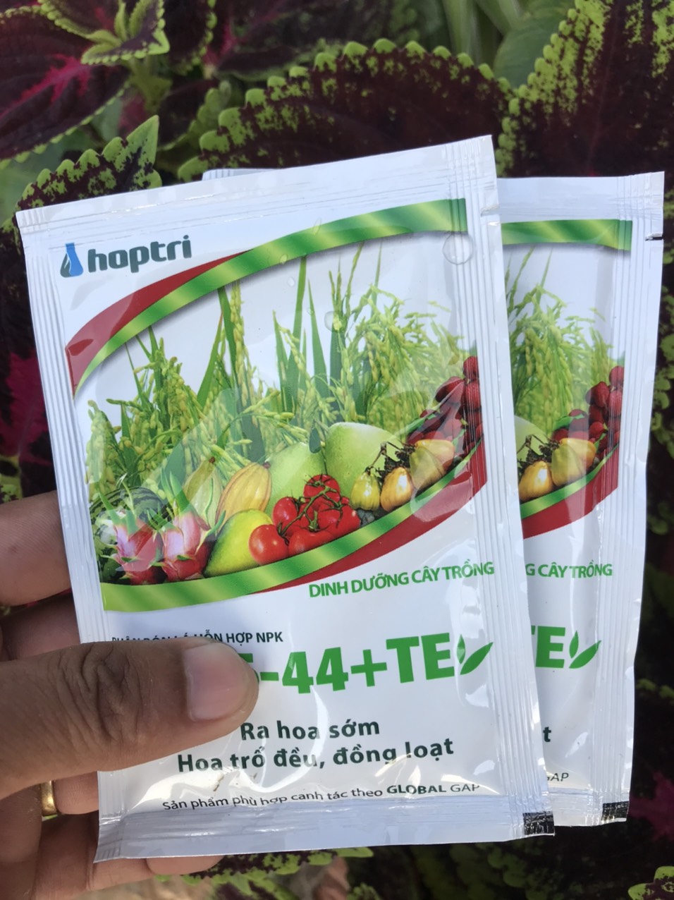 Phân bón npk hk 7-5-44 + te hợp trí gói 40gr