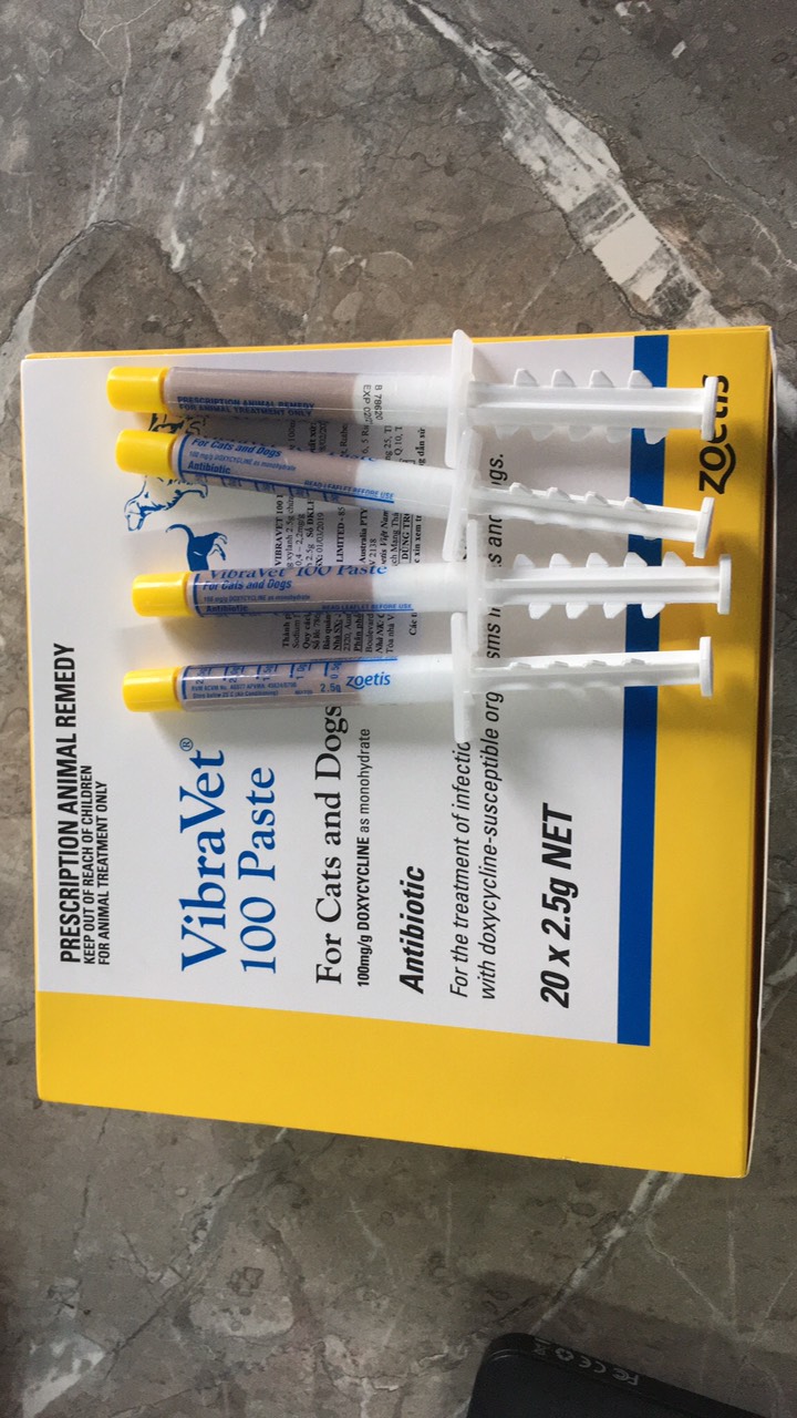 [HCM]VIBRAVET 100 PASTE 2.5G FOR CATS & DOGS