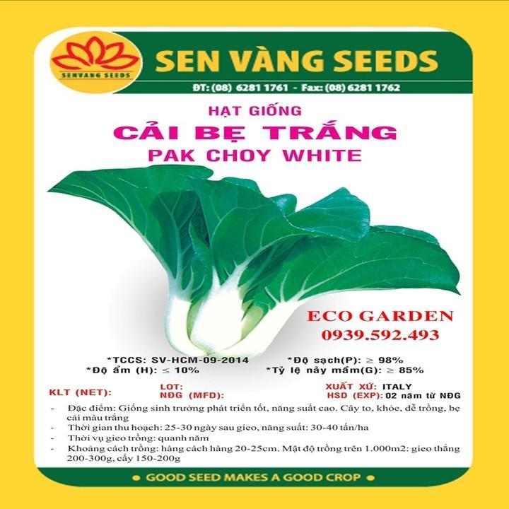 HẠT GIỐNG CẢI BẸ TRẮNG - 10GR