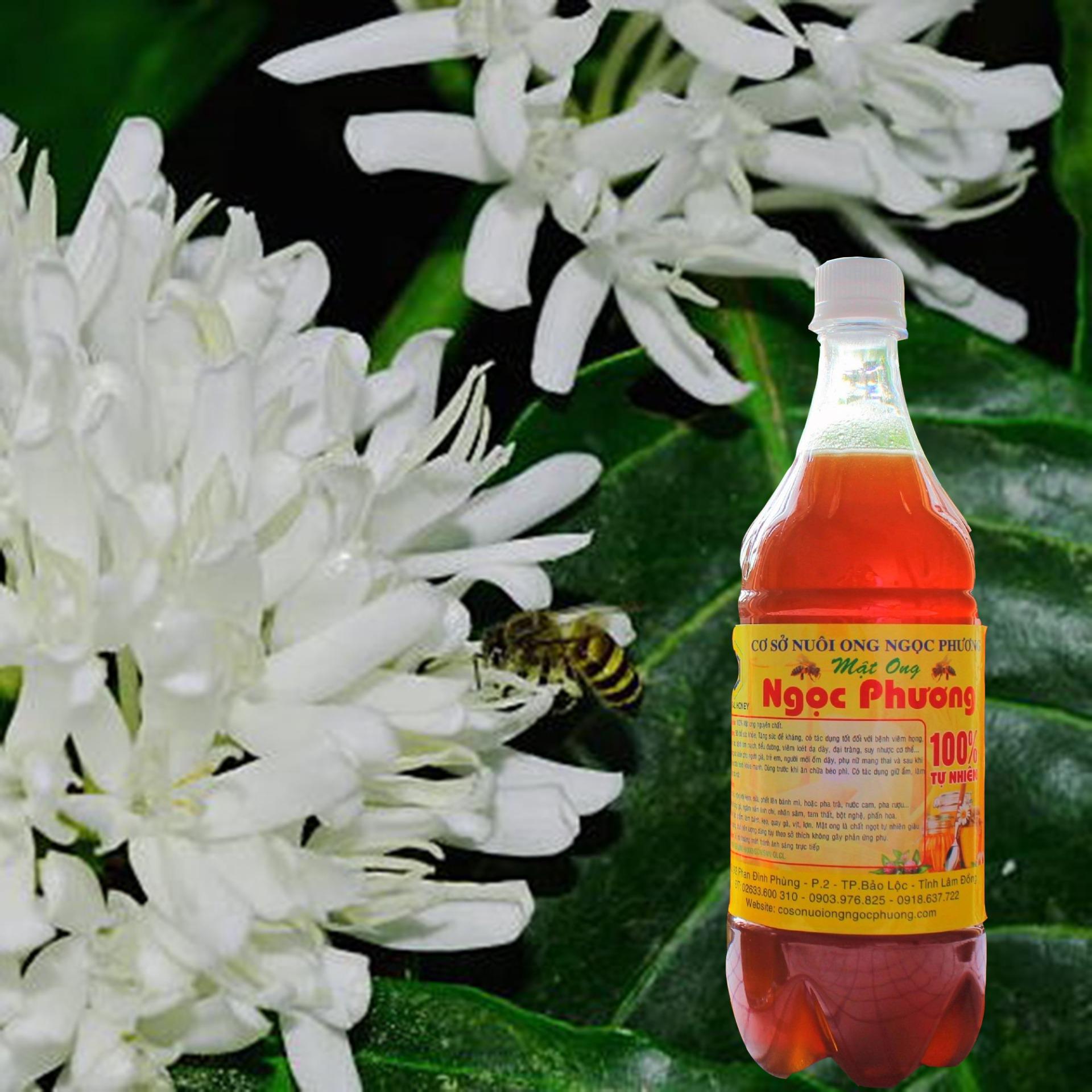 Mật ong hoa cà phê đặc sản b'lao 1000ml - cam kết 100% nguyên chất