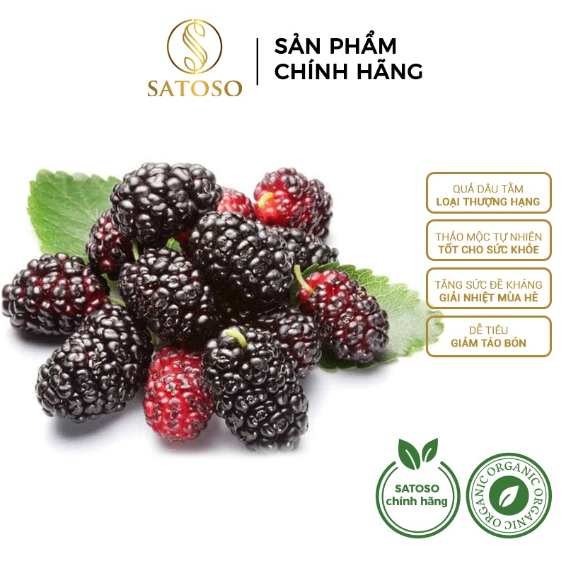 Dâu tằm sấy khô chất lượng cao thương hiệu SATOSO gói 500g
