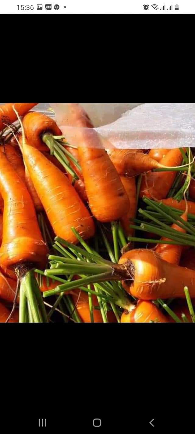 Cà rốt 1kg