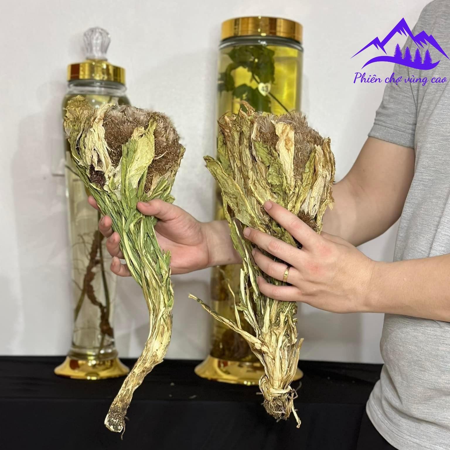 Thiên sơn tuyết liên hoa, hoa sen tuyết Tây Tạng khô . Hoa tuyết liên sơn giúp bồi bổ sinh lực, tăng cường khí huyết