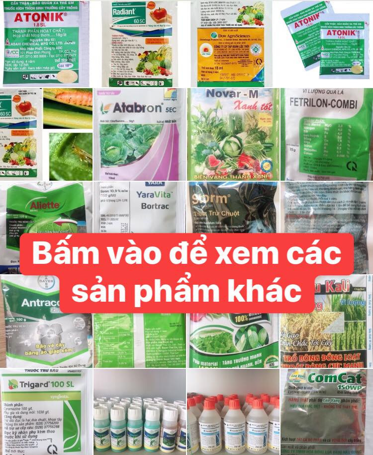 QXvvLl_simg_d0daf0_800x1200_max.jpg