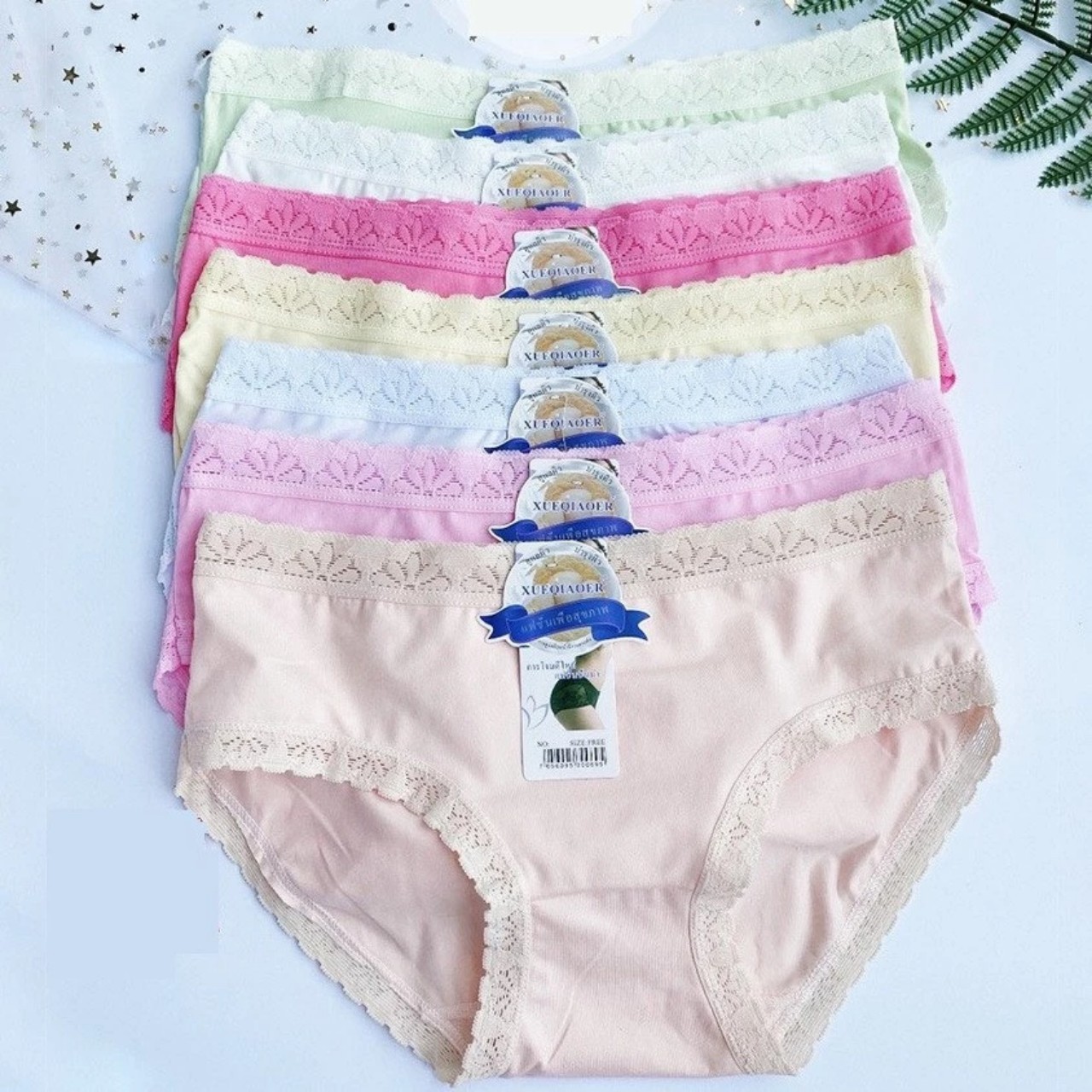 Combo 5 quần lót cotton - quần lót nữ ren thái lan đa dạng màu sắc, chất vải cotton co giản tốt ,-mả 5889-therapy6868-